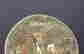 item-131884925=6