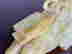 item-131884952=9