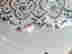 item-131884960=14