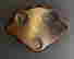 item-131884980=7