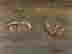 item-133423774=8