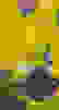 item-54541215=3