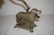 2325: Cast Iron Nickel Plated Dog Nut Cracker - 2