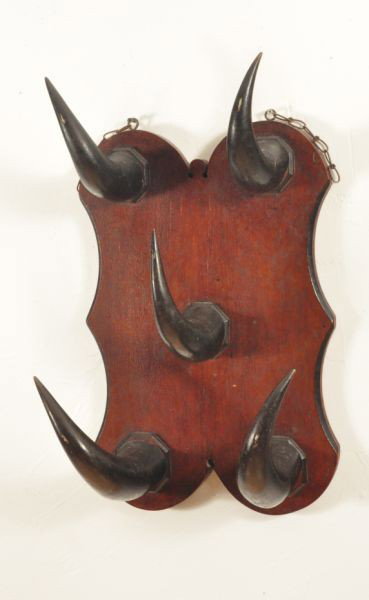 1880's Buffalo Horn Hat Rack: 16" wide x 28" tall.