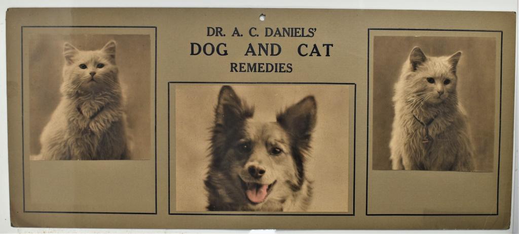 Dr. Daniels' Dog and Cat Remedies Sign: Dr. Daniels' Dog and Cat Remedies Cardboard Sign. I wonder if these were blank originally and you could ad your own personal pets to the advertisement. Excellent condition. 21 3/4 X 9 1/2 inches.
