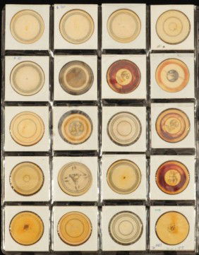 Vintage ivory poker chips