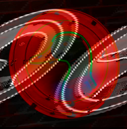 Mallard Duck Neon Sign