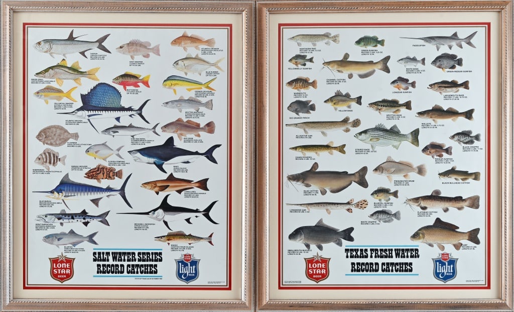 2 Lone Star Beer Fishing Guide Framed Posters: Circa 1987. Texas Freshwater and Saltwater fishing guide framed Lone Star Beer posters, circa 1987. Both frames measures 28" x 34"