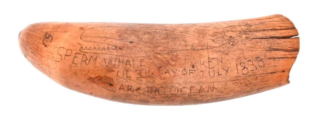 Antique Whale Tooth Scrimshaw-1838 Arctic Ocean: Inscribed "Sperm Whale Taken 14th Day of July, 1838. Arctic Ocean", along with initials "L.N.M." on reverse. Measures 1.75" x 6"