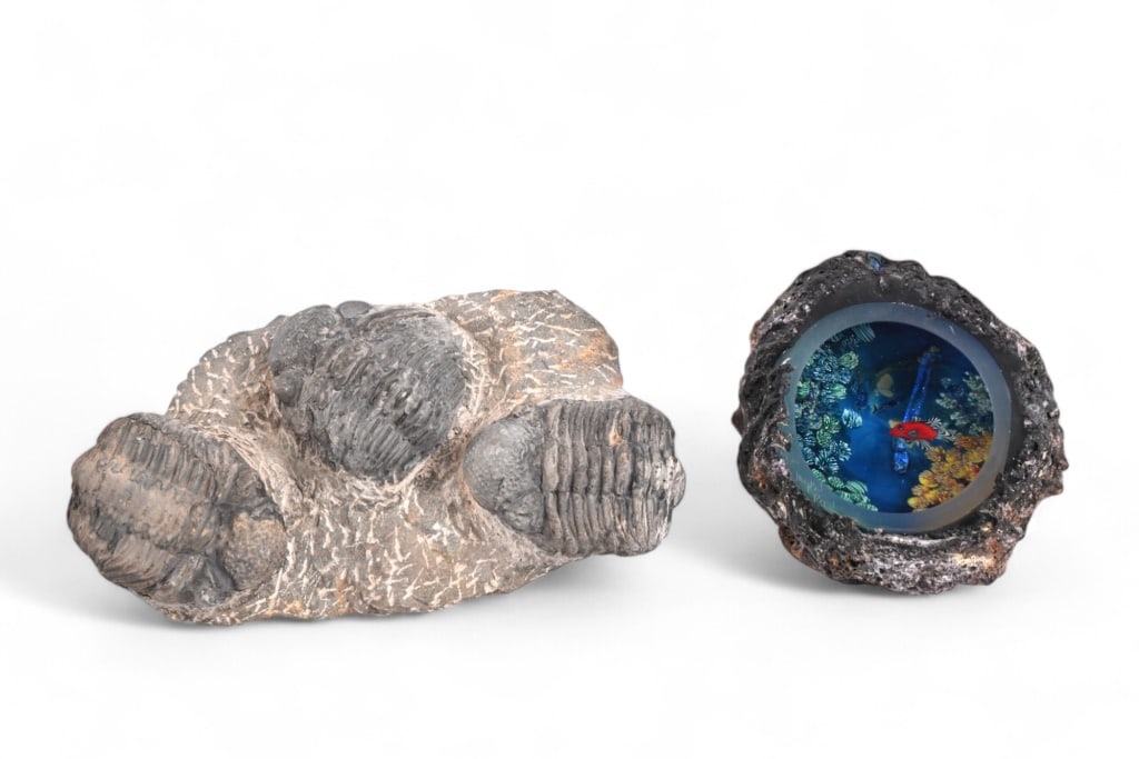 Josh Simpson Tektite Portal & Trilobite Fossil: Josh Simpson Glass art tektite portal dated 10-3 of 1996 signed bottom left of glass, collaboration with artist Joyce Roessler, 4"x5"x6", Trilobite fossil section 3.5" x 5" x 10".