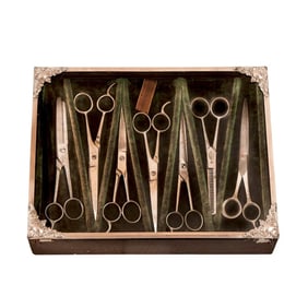 Rare, Barber's Scissor Display With Scissors