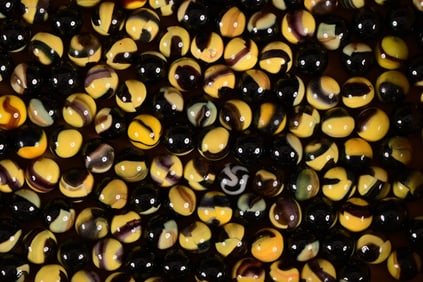 Collection of 196 Vintage Yellow & Black Marbles