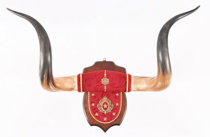 Antique Texas Horn Mount