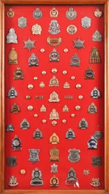 Canadian Police Badge Collection