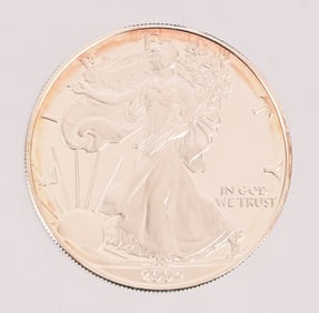 (2) American Eagle Silver Dollar 1 Oz Coins