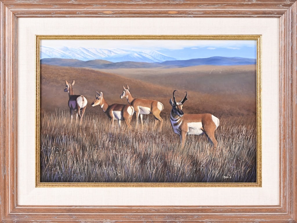 Jim McGee Original Pronghorn Oil Painting: Framed oil on board. Pronghorn antelope grazing with mountains in backgrounds. From KDF Guns in Seguin, TX. Frame measures 32" x 24". Painting measures 24" x 16".