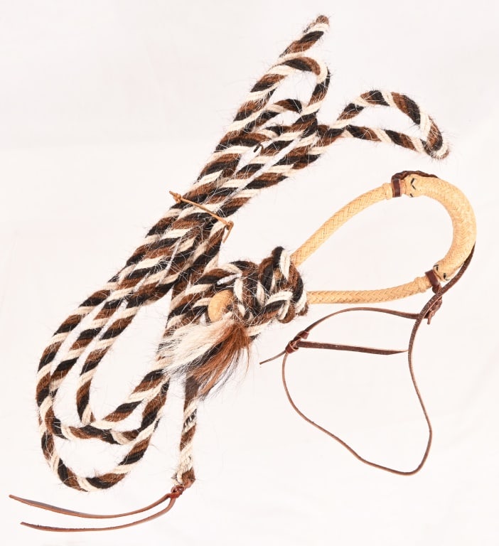 Braided Rawhide Hackamore Bridle (1 of 3)