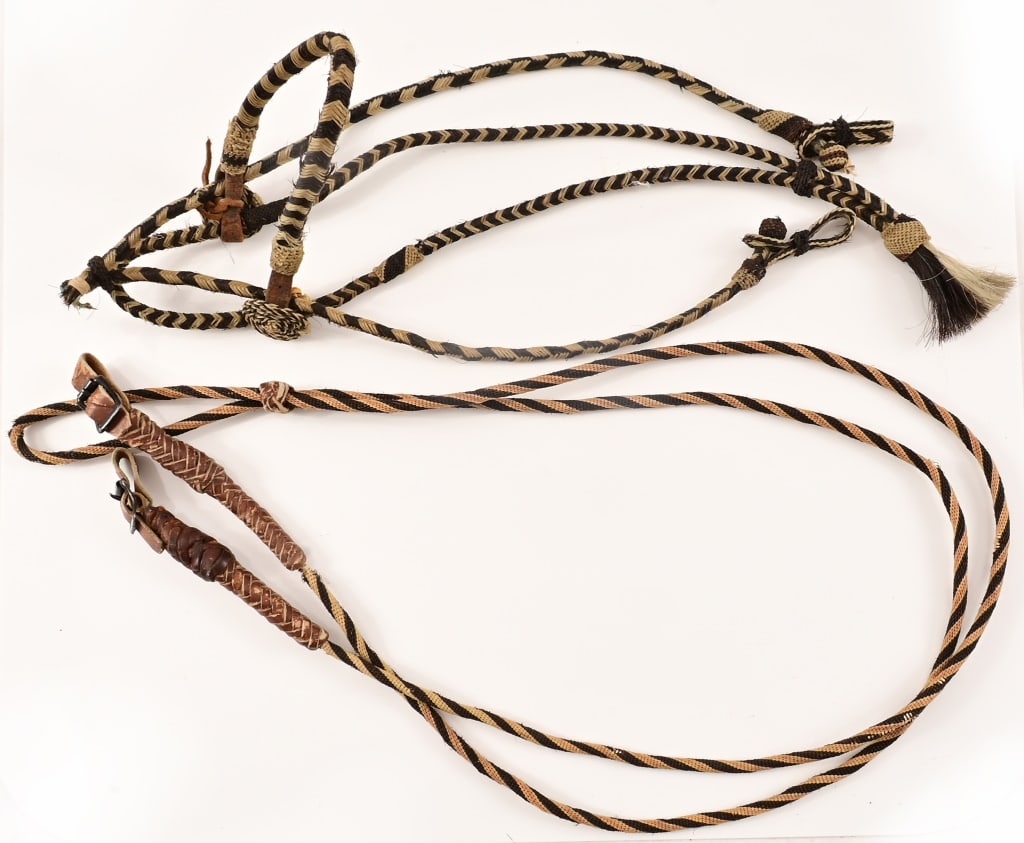 Horse Hair Head Stall & Reins (1 of 4)