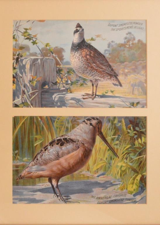 Dupont Smokeless Powder Advertising Quail (1 of 2)