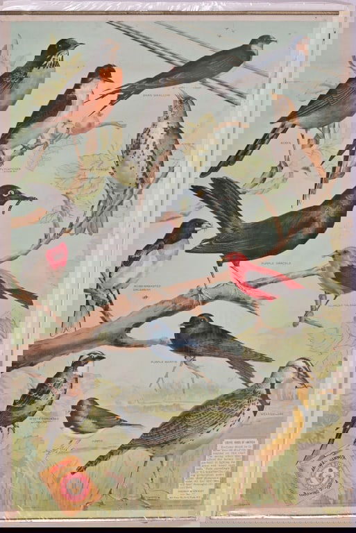 1917 Arm & Hammer Baking Soda Poster (1 of 7)