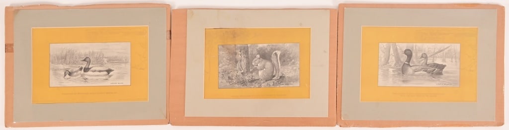 Collection Of 3 Dupont Smokeless Prints (1 of 4)