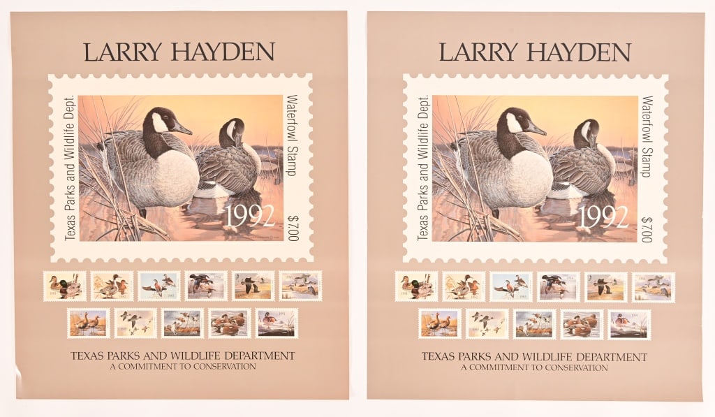 Two Large Larry Hayden 1992 Duck Stamp Posters: 23" x 26 1/2".