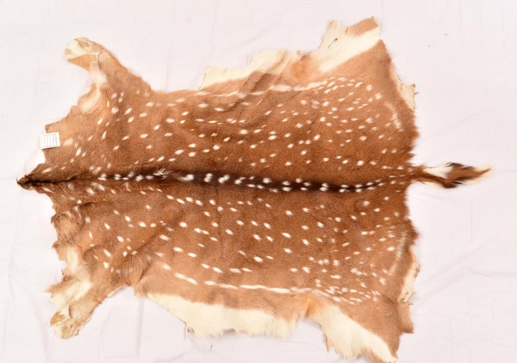 Axis Hide: Brain-tanned Axis hide 36" x 48"