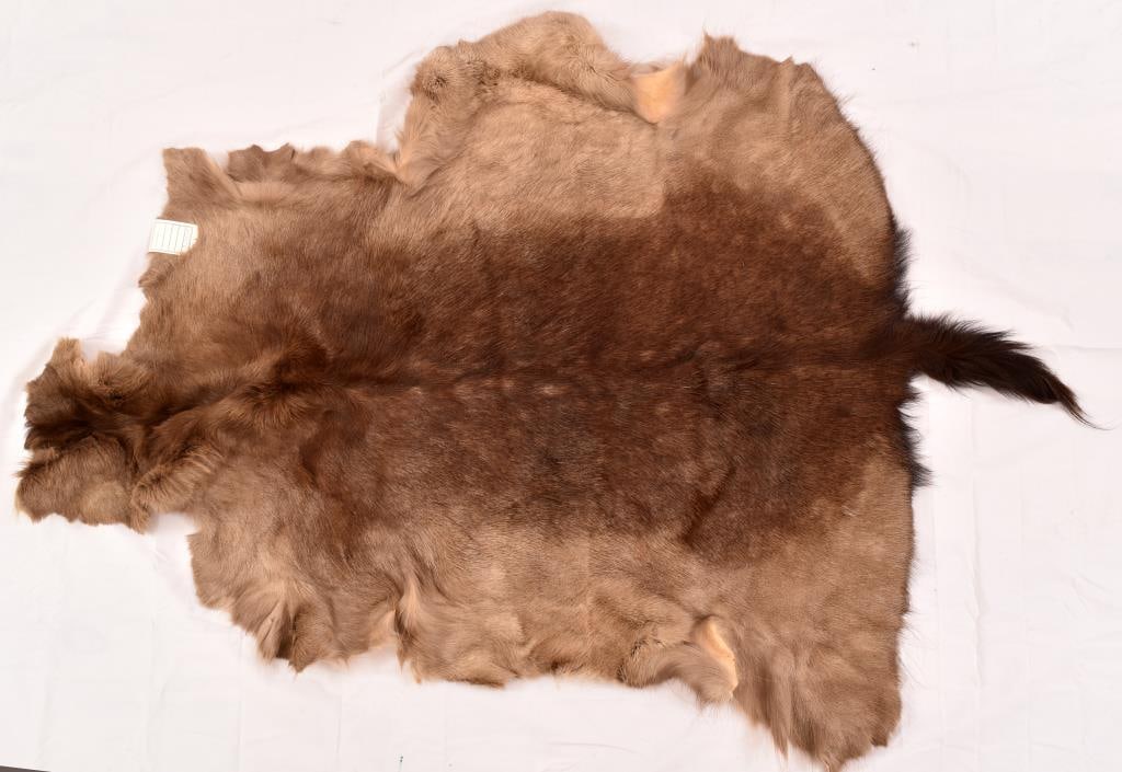Exotic Deer Hide: Brain-tanned hide 32" x 48"