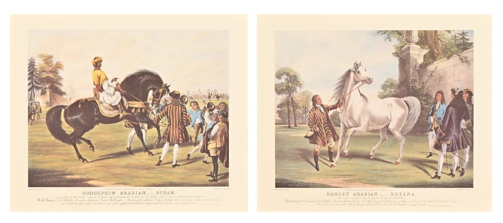 (2) Darley Arabian Horse Engraving Prints c.1842 (1 of 9)