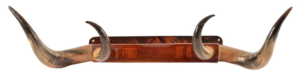 Horn Hat Rack (1 of 10)