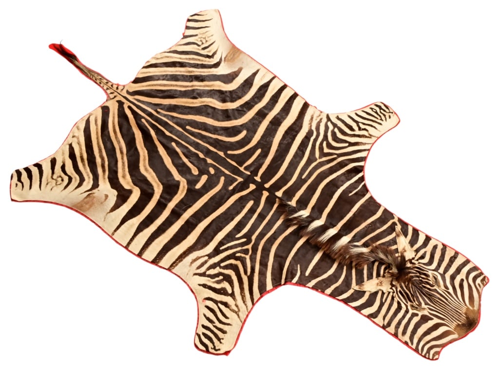 Zebra Hide Rug: Zebra Hide Rug