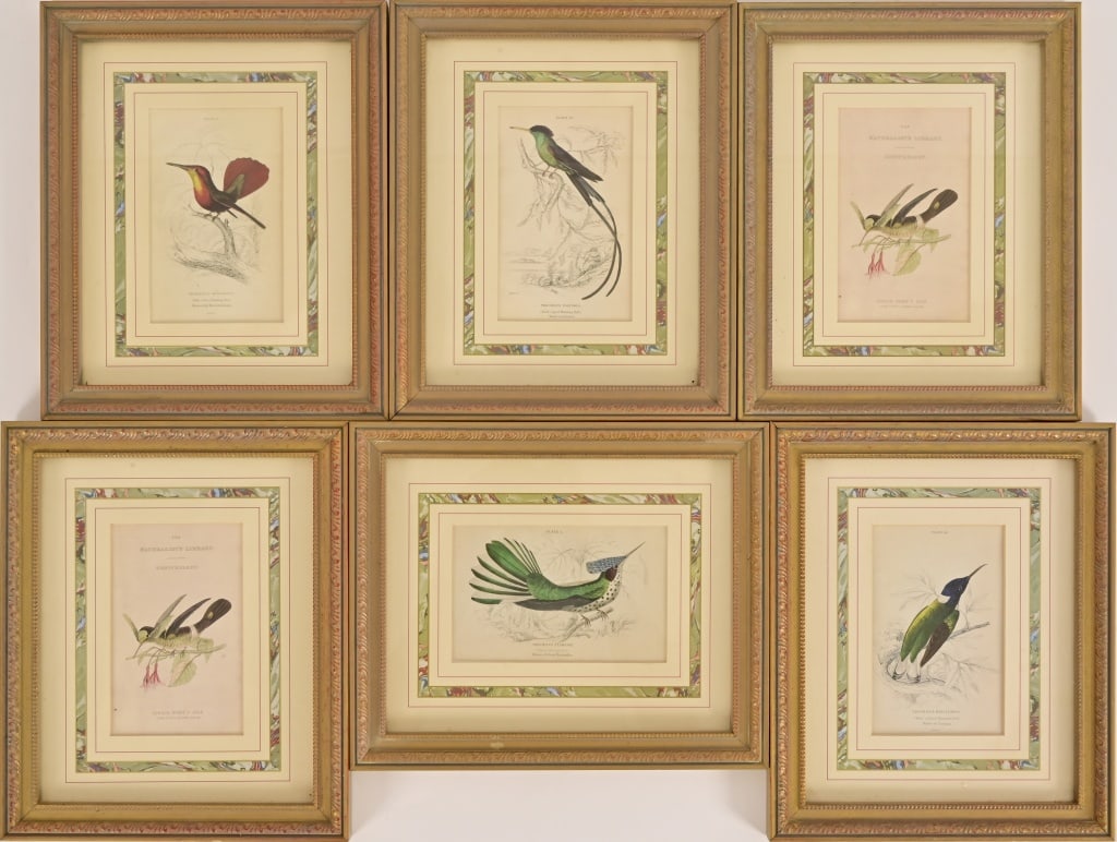 Sir William Jardine, Hummingbird Engravings c.1833: Six engraving illustrations from "The Naturalist's Library" by Sir William Jardine, Hand-colored hummingbird engravings.