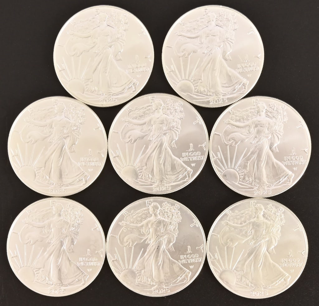 (8) American Eagle 1 oz. Silver Coins (1 of 2)