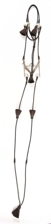 Horse Hair Headstall & Reins (1 of 5)