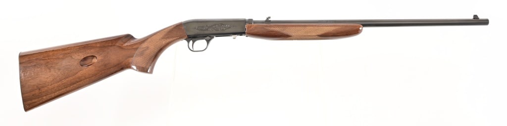 Browning BAR .22 Rifle (1 of 10)