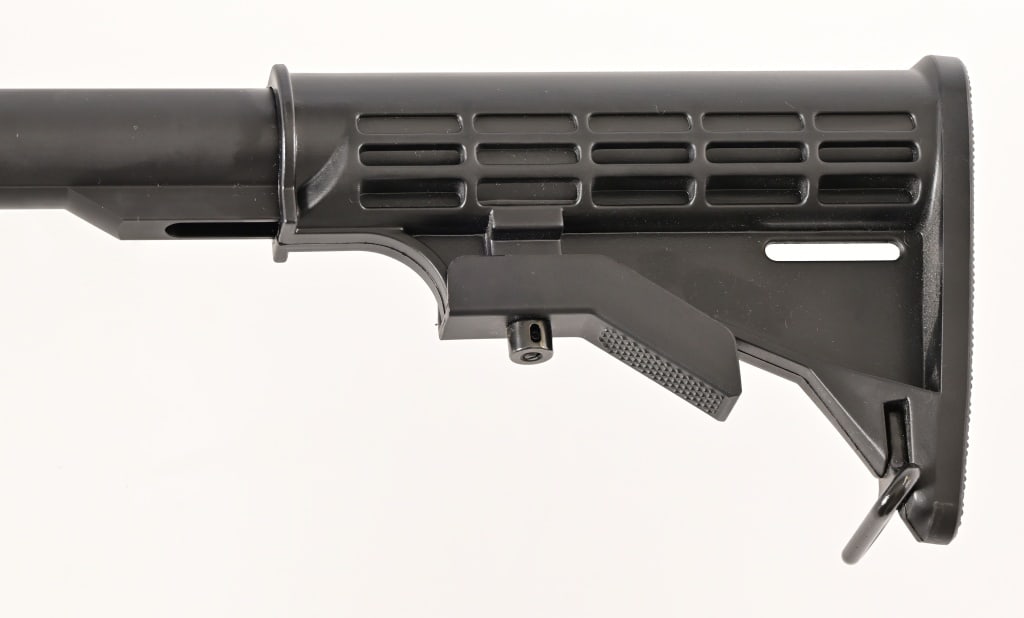 Ruger AR-556 - 6