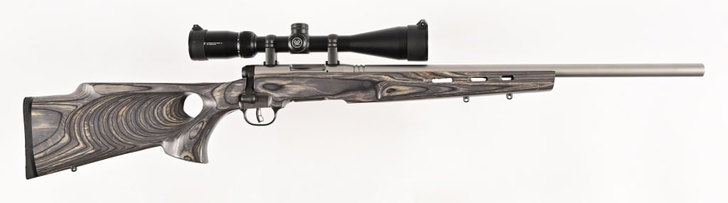 Savage BMAG 17 WSM Rifle (1 of 2)