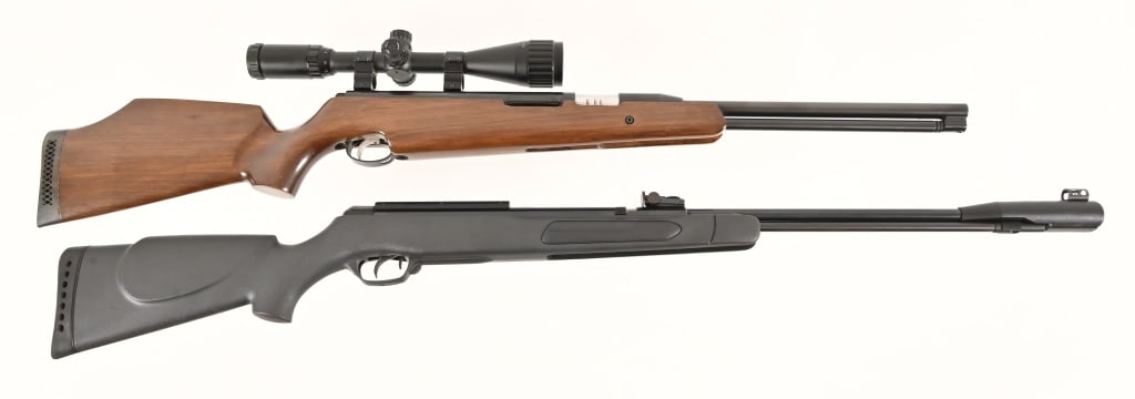 2 High Powered Pellet Guns (1 of 13)