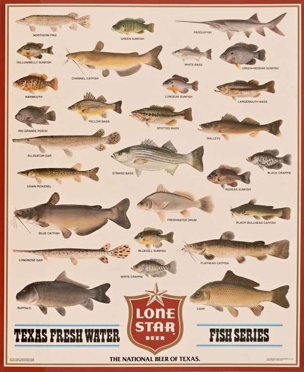 Lone Star Beer Texas Fish Series Poster 1985 (1 of 3)