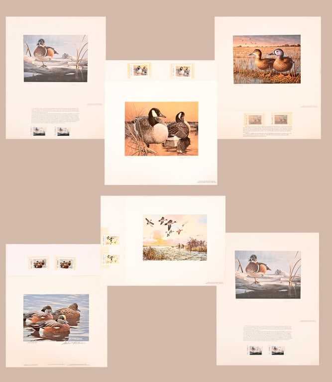 6 Texas Duck Stamps Prints Collection John Cowan (1 of 9)