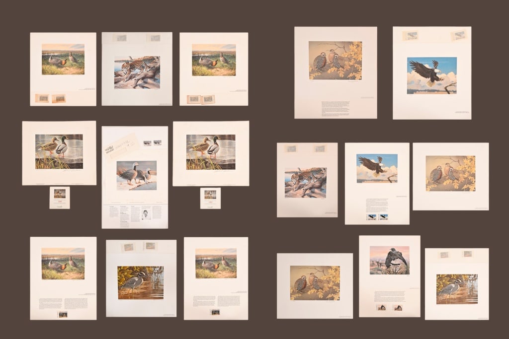 Texas Non Game Stamps Prints Collection John Cowan (1 of 18)