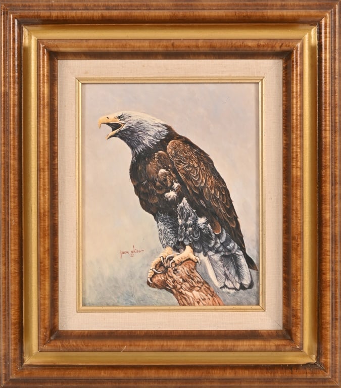 Jack White American Bald Eagle Oil Painting: Oil on board. Signed lower middle of painting, also signed on back by Jack White, "To the Davis's, Happy Trails" and dated 1988. Frame measures 14 3/4" x 16 3/4", art board measures 8" x 10". Jack Whi