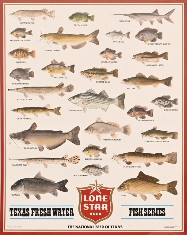 1985 Lone Star Beer Texas Fresh Water Fish Poster: 23" x 29".