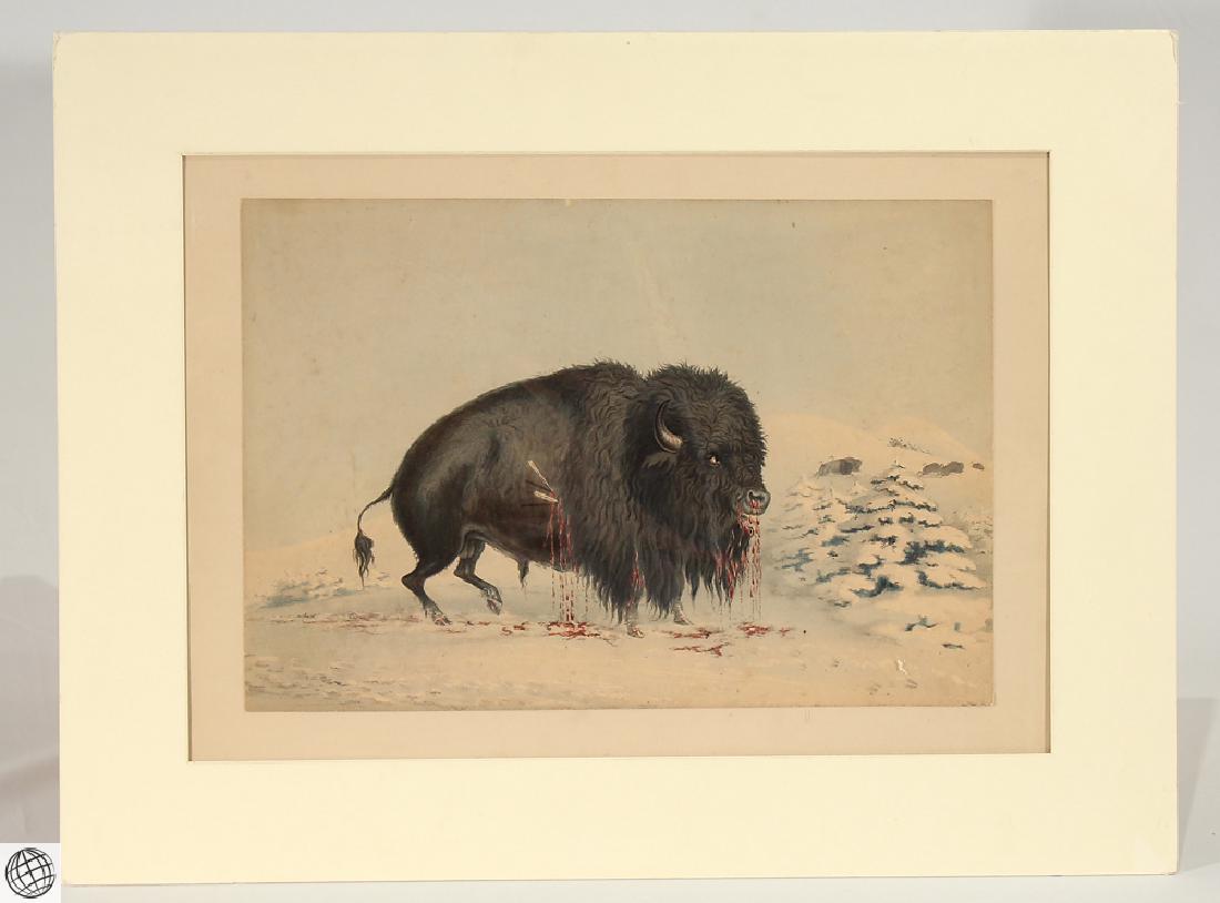 Wounded Buffalo Bull GEORGE CATLIN Bohn 1844 Hand (1 of 6)