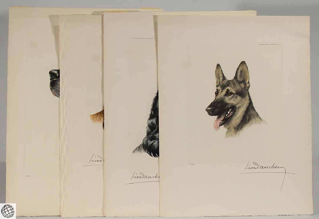 4Pcs Dog Portraits LEON DANCHIN C1930 Numbered Color: Details: DANCHIN, LÃ‰ON. Four large dog portraits. Paris: c. 1930's. Color printed aquatints with hand-finishing. All signed and numbered in pencil. De-accessioned by the Glenbow Museum, Calgary,