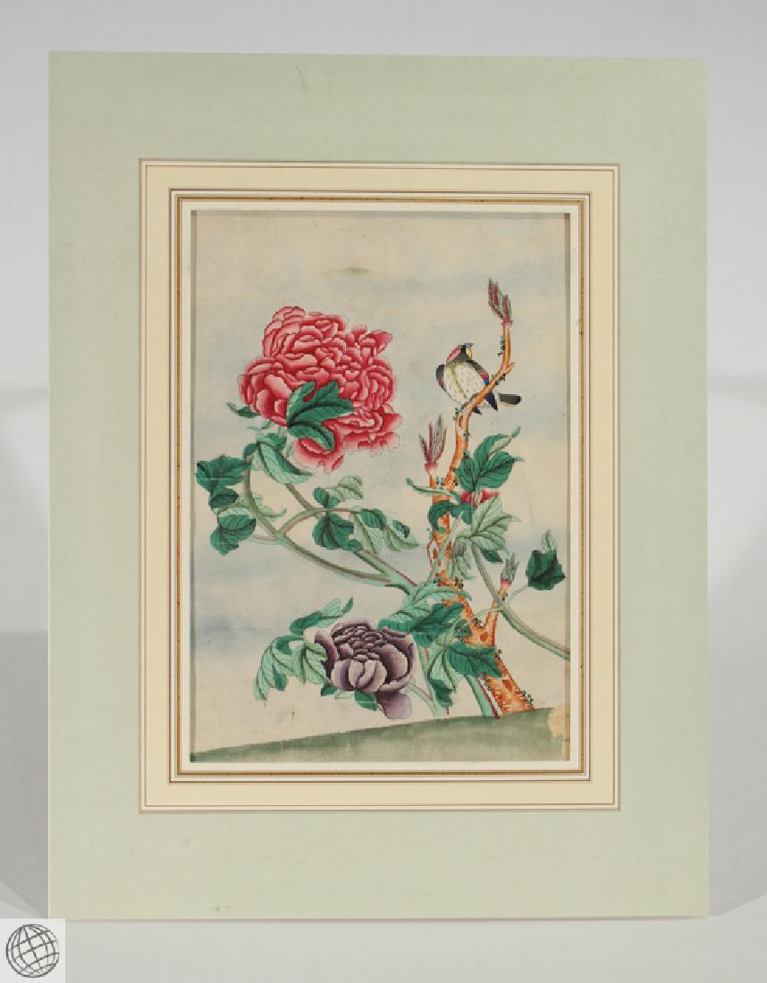 Peony Bird COMPANY SCHOOL China Chinese Pen Ink (1 of 5)