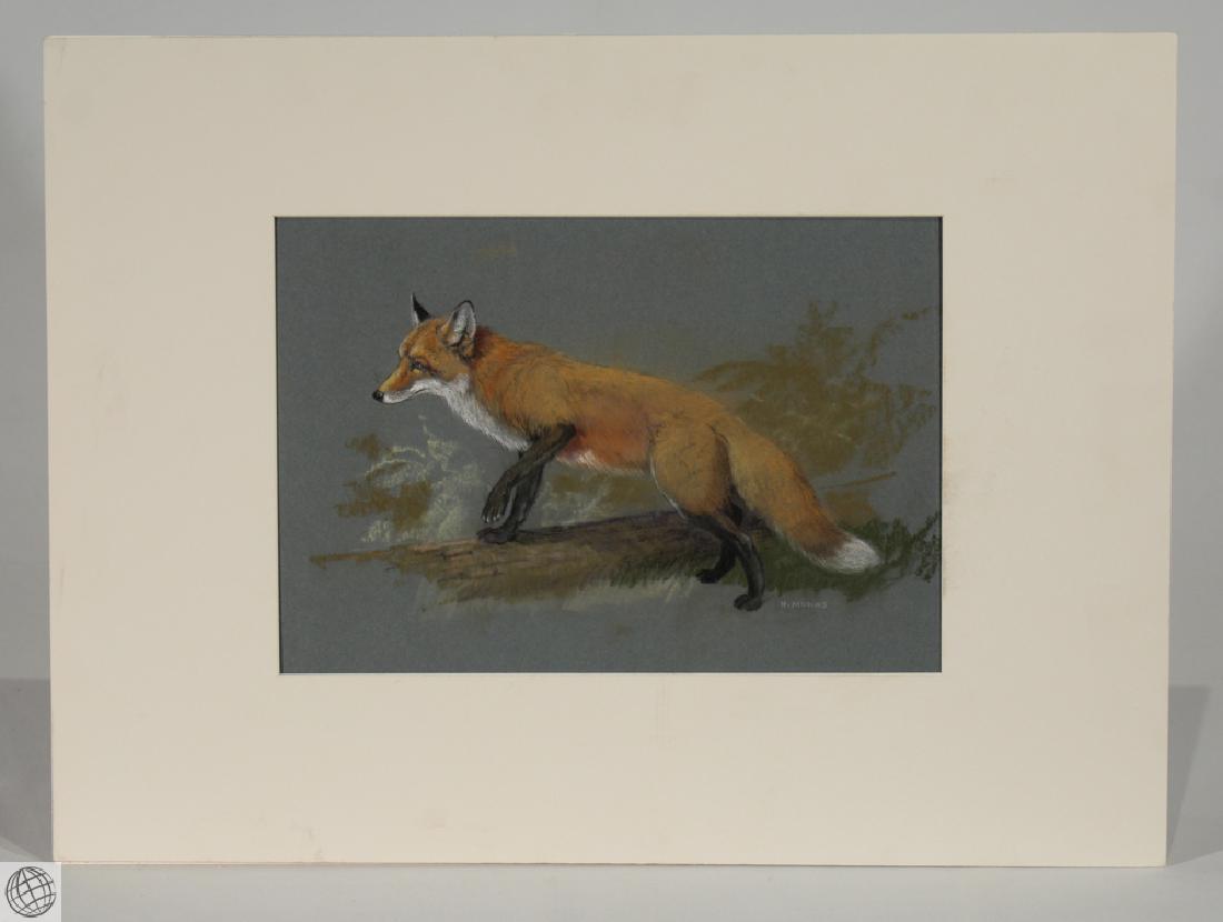Red Fox HOWARD L. MUNNS Original Pastel Portrait 1971 (1 of 7)