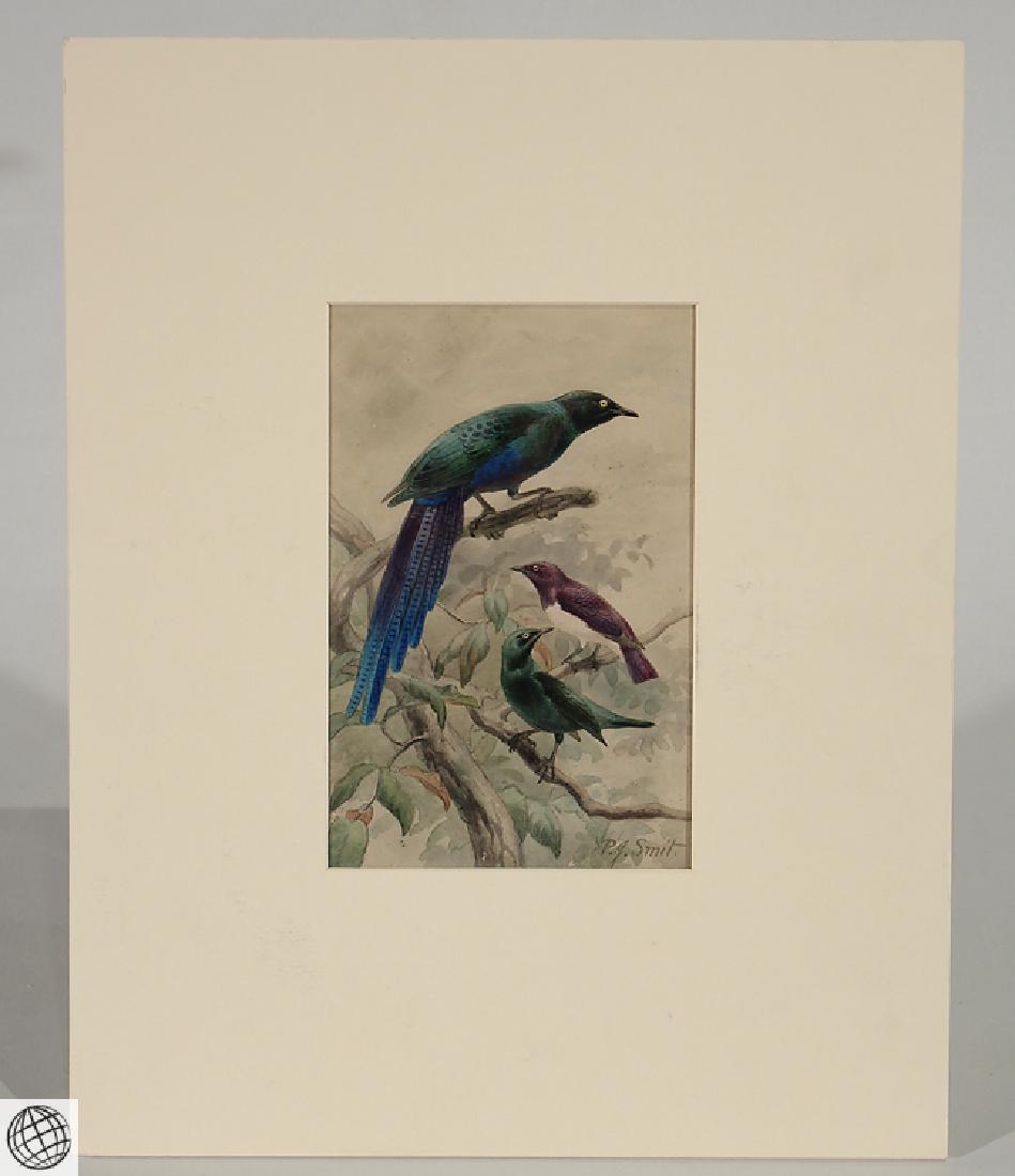 Amethyst Starling Glossy SMIT Original Pencil (1 of 6)