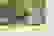 item-52862256=4