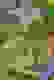 item-57229337=7
